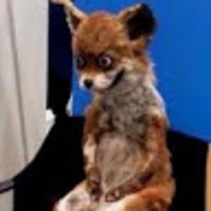 Meet your Posher, Chloey